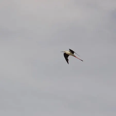 Nocleg ze śniadaniem La Charentine