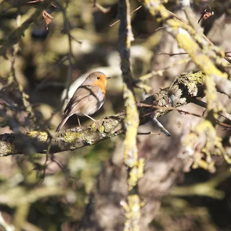 La Charentine 4* Echillais