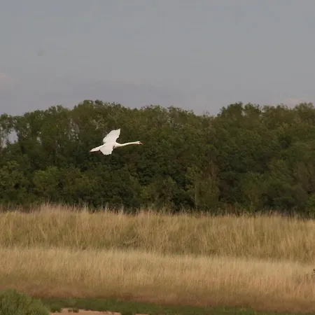 La Charentine Bed & Breakfast Echillais