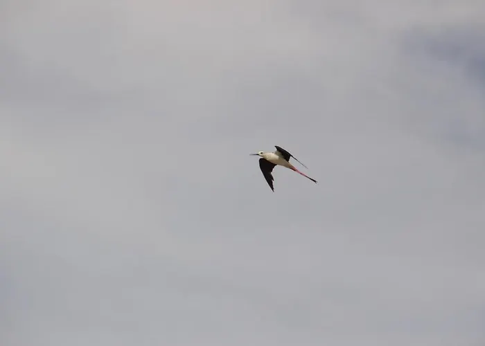 Bed & Breakfast La Charentine