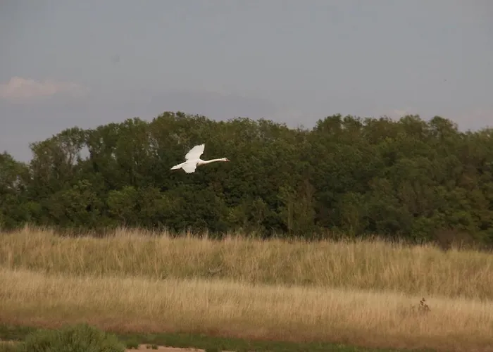 La Charentine Bed & Breakfast Echillais